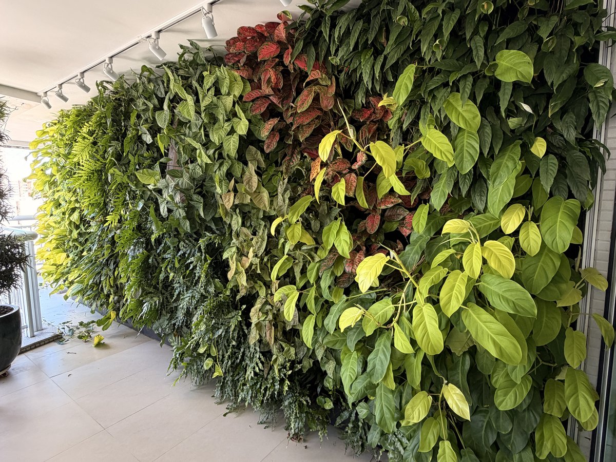 Jardim vertical corporativo interno