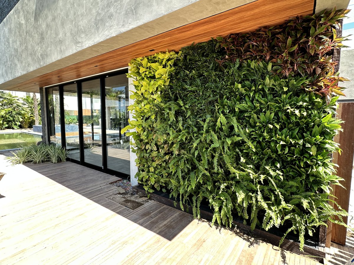 Residência com piscina · Área externa